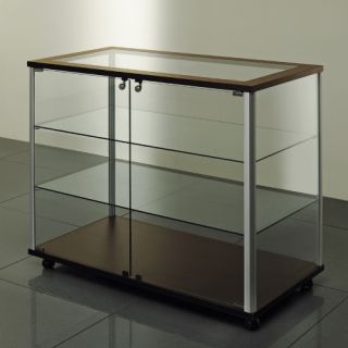 Vitrine banque sur pied BQECO19